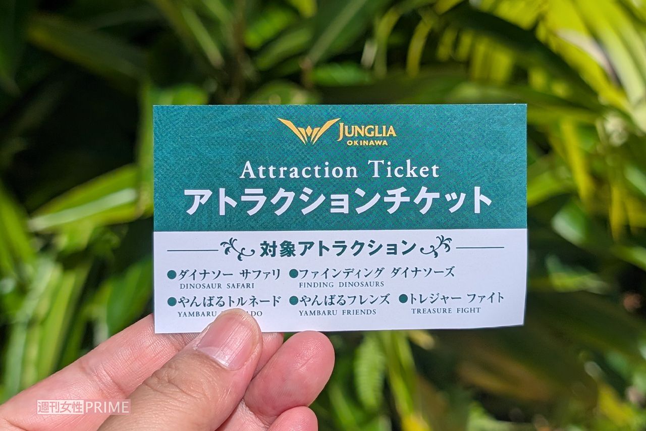 期間限定で販売されているジャングリア沖縄のふらっとチケット（2970円）　撮影／編集部
