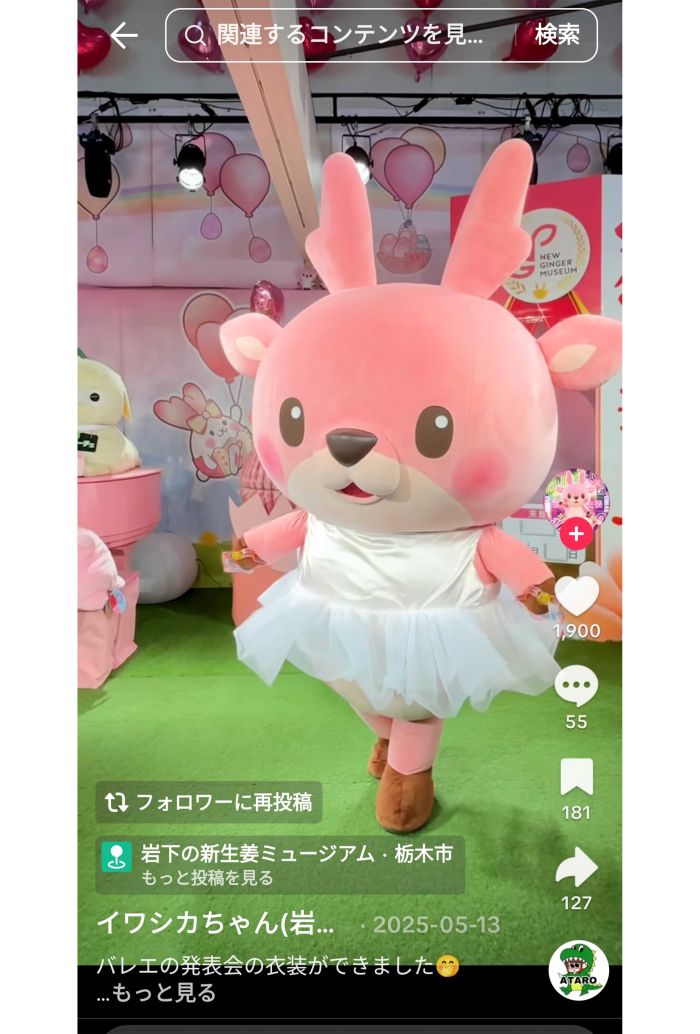 イワシカちゃんの好きなことは踊ること（公式インスタグラムより）