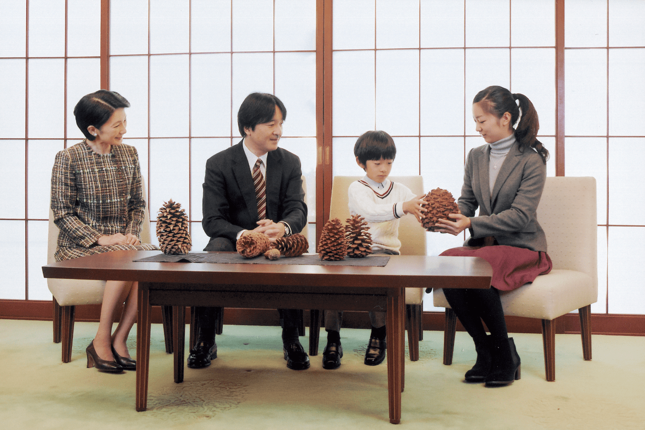 眞子さんが英国留学で不在の間、弟・悠仁さまの相手をよくしていたという佳子さま（2014年11月）