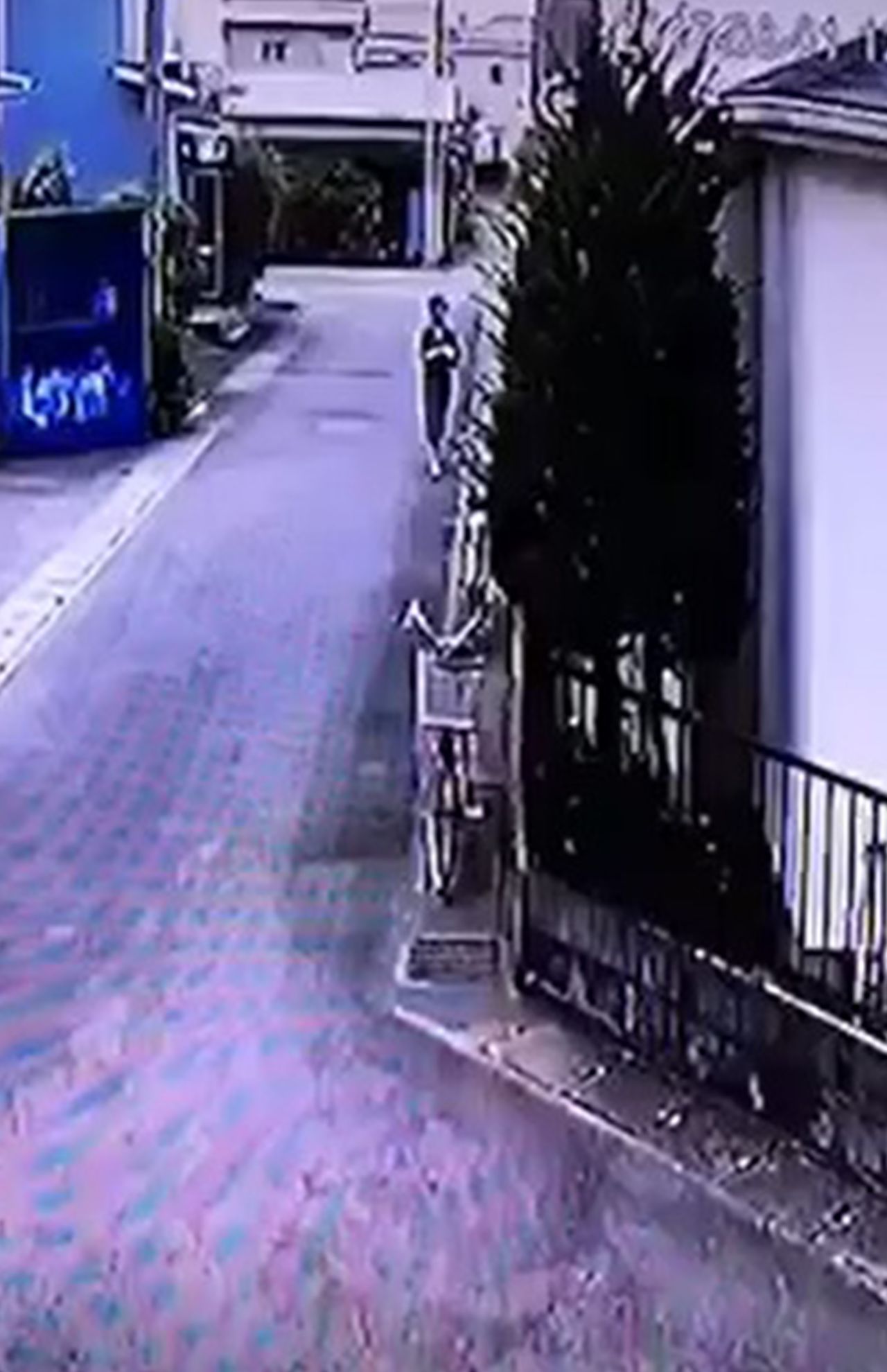 8月1日正午すぎ、小松容疑者の偵察後、娘に似た女性が近隣宅に近づく（住民が設置した防犯カメラ映像より）