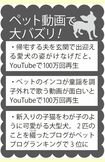 ペット動画で大バズり!