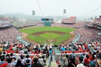 広島東洋カープ「パンツ型トート」が話題！ 公式から消えた“問題作”