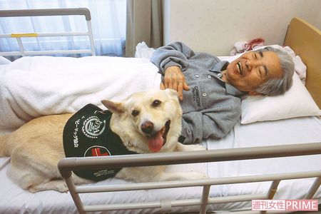 ベッドでチロリに添い寝をされてうれしそうな長谷川さん