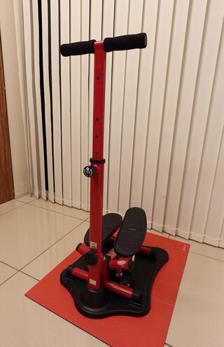 テレビを見ながら踏むだけで心肺機能や筋力アップといった効果が期待できる。茶さんはテレビのCMタイムになると行うようにしているのだとか