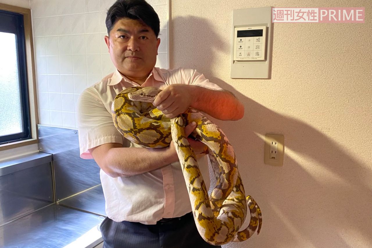 無事捕獲されたアミメニシキヘビと、捕獲にこぎつけた白輪園長（協力／体感型動物園iZoo）