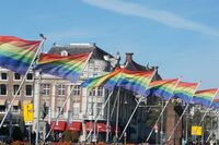 〈フィフィ〉法科大学院生の