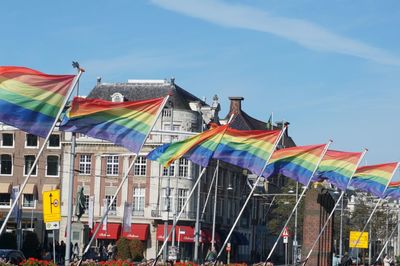 〈フィフィ〉法科大学院生の