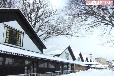 ＜この冬行きたい＞新潟、山形、秋田…景色よし！ ご飯よし！ 激アツきらきら旅