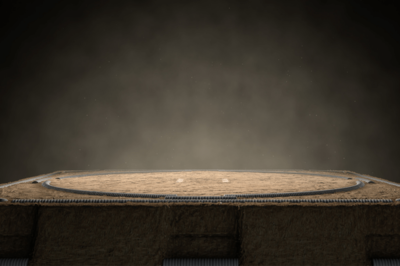 貴ノ岩のスピード引退に違和感「諸悪の根源はテレビだ」の声も聞いてほしい