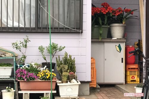 鈴木容疑者宅には、愛情をこめて育てた花がきれいに咲いていた