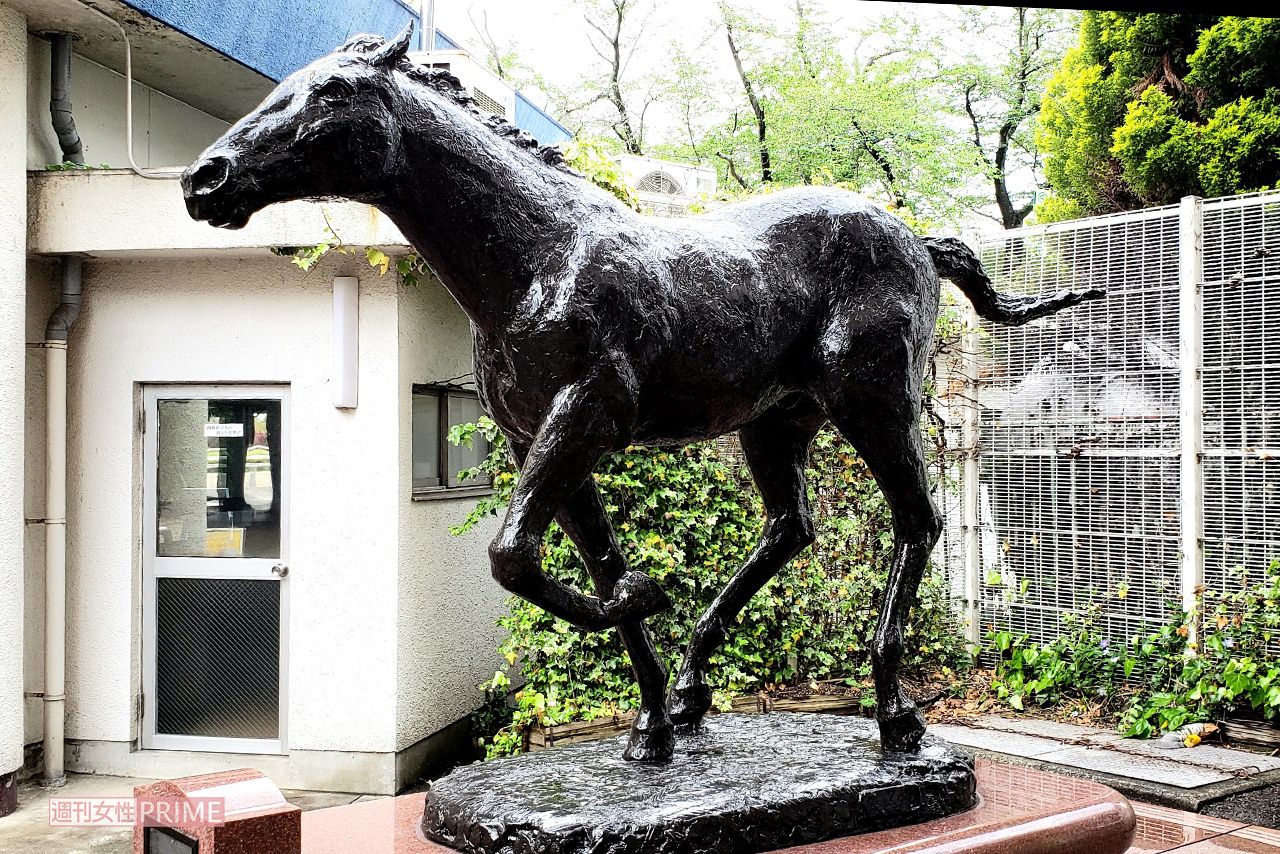 地方競馬・笠松競馬には、その後中央競馬でも活躍した名馬「オグリキャップ」の銅像が　撮影／編集部