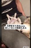 「TikTok」に投稿された、流出したと思われる大野智の動画2/4