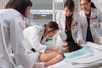 初の医者役で苦戦！白鳥久美子が捻り出した「猿、来い、ドーシス」の意味とは