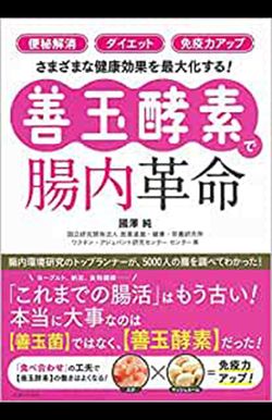 『善玉酵素で腸内革命』（國澤純著／主婦と生活社刊） ※記事中の画像をクリックするとアマゾンの商品紹介ページにジャンプします