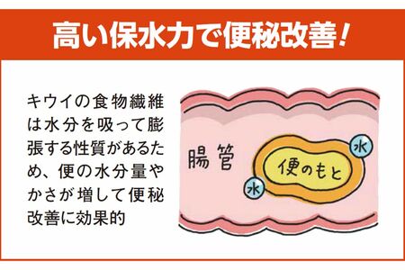 キウイの食物繊維は水分を吸って膨張する性質があるため、便の水分量やかさが増して便秘改善に効果的