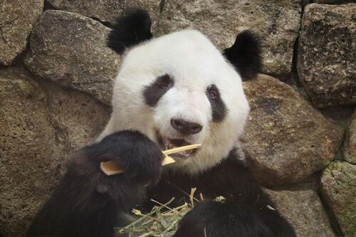 Q.おいしいお顔だ～れだ　D　（撮影／二木繁美）