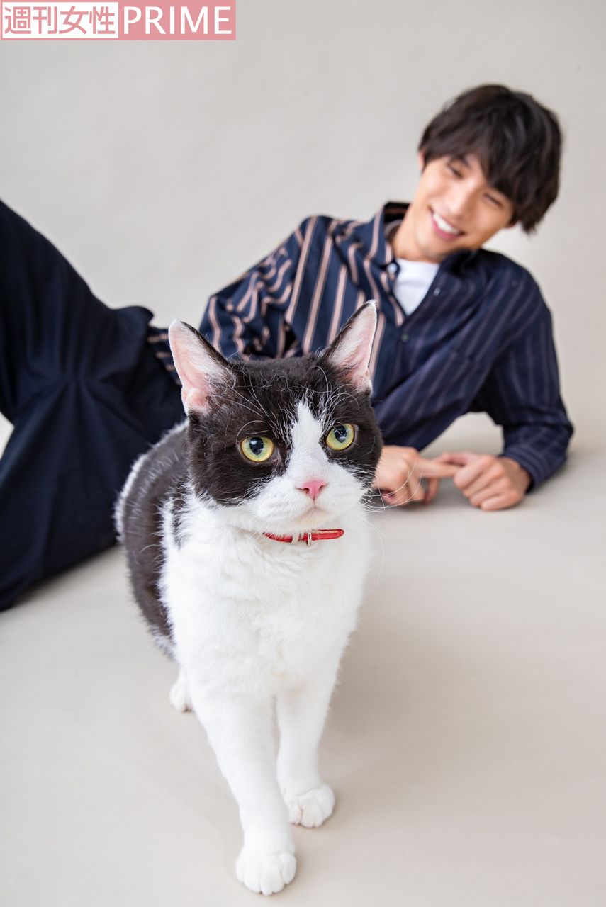 福士蒼汰　撮影／廣瀬靖士（'18年撮影）