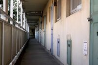 遺品整理人が語るコロナ禍の現状と、孤独死現場で驚愕した「ラッキー」発言