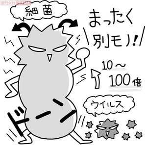 菌とウイルスの違いを知ろう イラスト／ますみかん、つのだだいすけ
