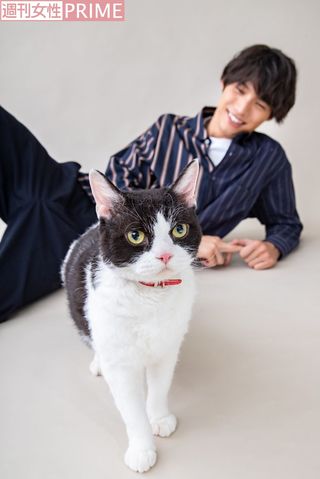 福士蒼汰　撮影／廣瀬靖士（'18年撮影）