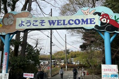 《止まらないパンチくん人気》運営の市川市動植物園、入場者急増でトラブル続出も「優秀すぎる」先手先手の…