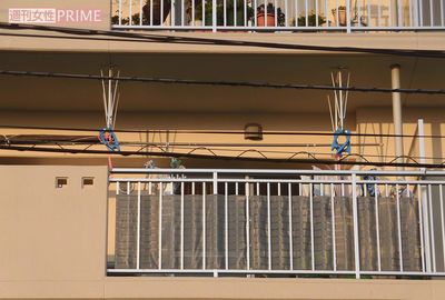 《山口・下松市》老々介護の悲劇、妻の遺体とドライブした夫の胸中