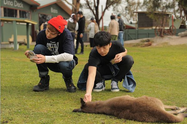 『2PM WILD BEAT～240時間完全密着！オーストラリア疾風怒濤のバイト旅行～』より　Wild Beat (c)2017 IHQ media & JYP Pictures. All Rights Reserved