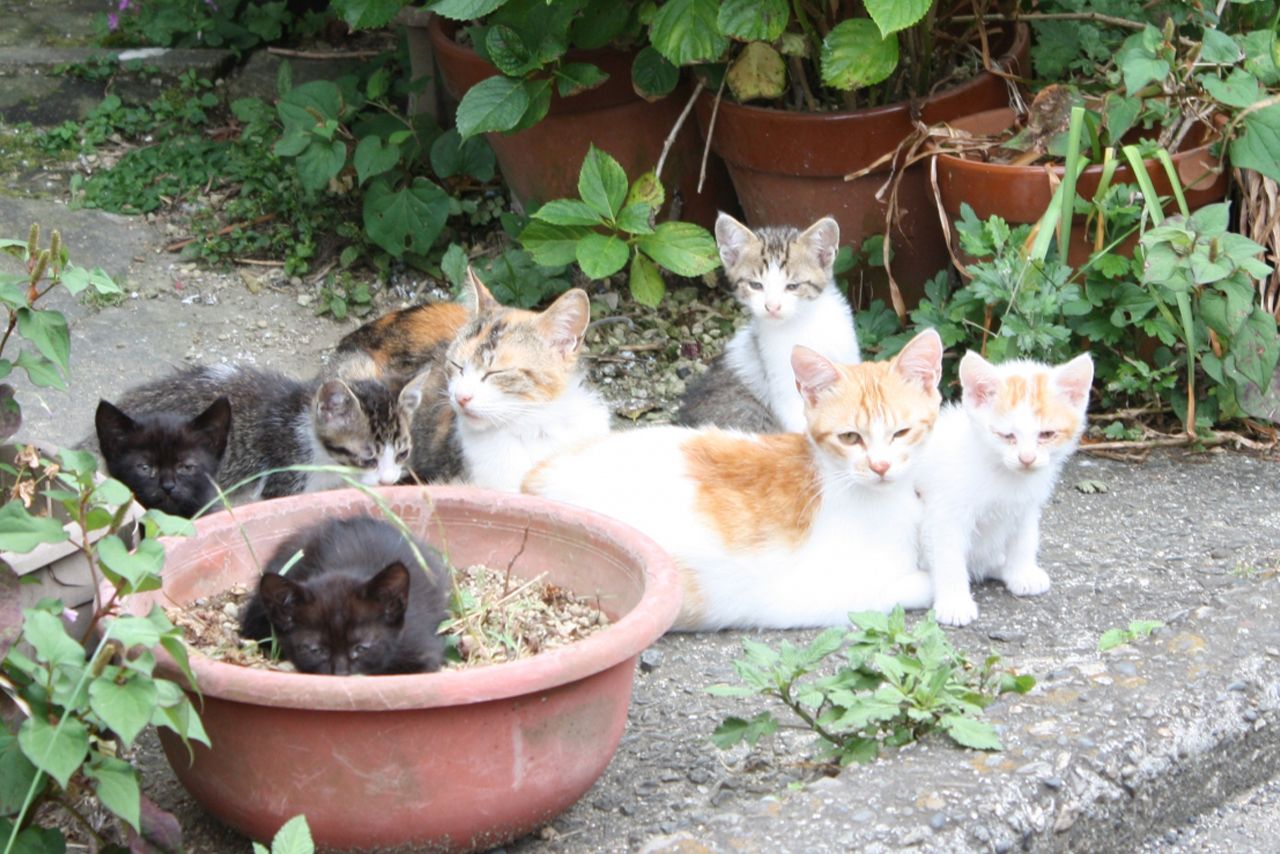 ※写真はイメージです