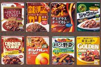 【レトルトカレーランキング】300円以下20種を食のプロが食べ比べ！味、具材、コスパに優れた商品は「レト…
