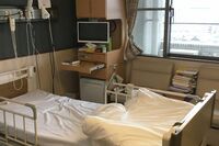 「更年期だと思ったら心臓病で死にかけた」翻訳家・村井理子さん、手術を経て見えた人生の優先順位と死生観