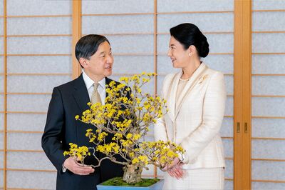 雅子さま「すてきなお言葉をいただいて…」結婚30年を迎える天皇陛下がお誕生日会見で回答された“感謝と感…