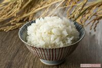 「糖質カット」炊飯器、人気2商品の“おいしさ”“使い勝手”を忖度ナシでガチ検証！