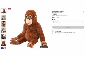 市川市動植物園「パンチくん」愛用“ぬいぐるみ”が売り切れ続出