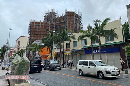 沖縄では強風がくると植物や建物のガラスにネットをかけるのだという