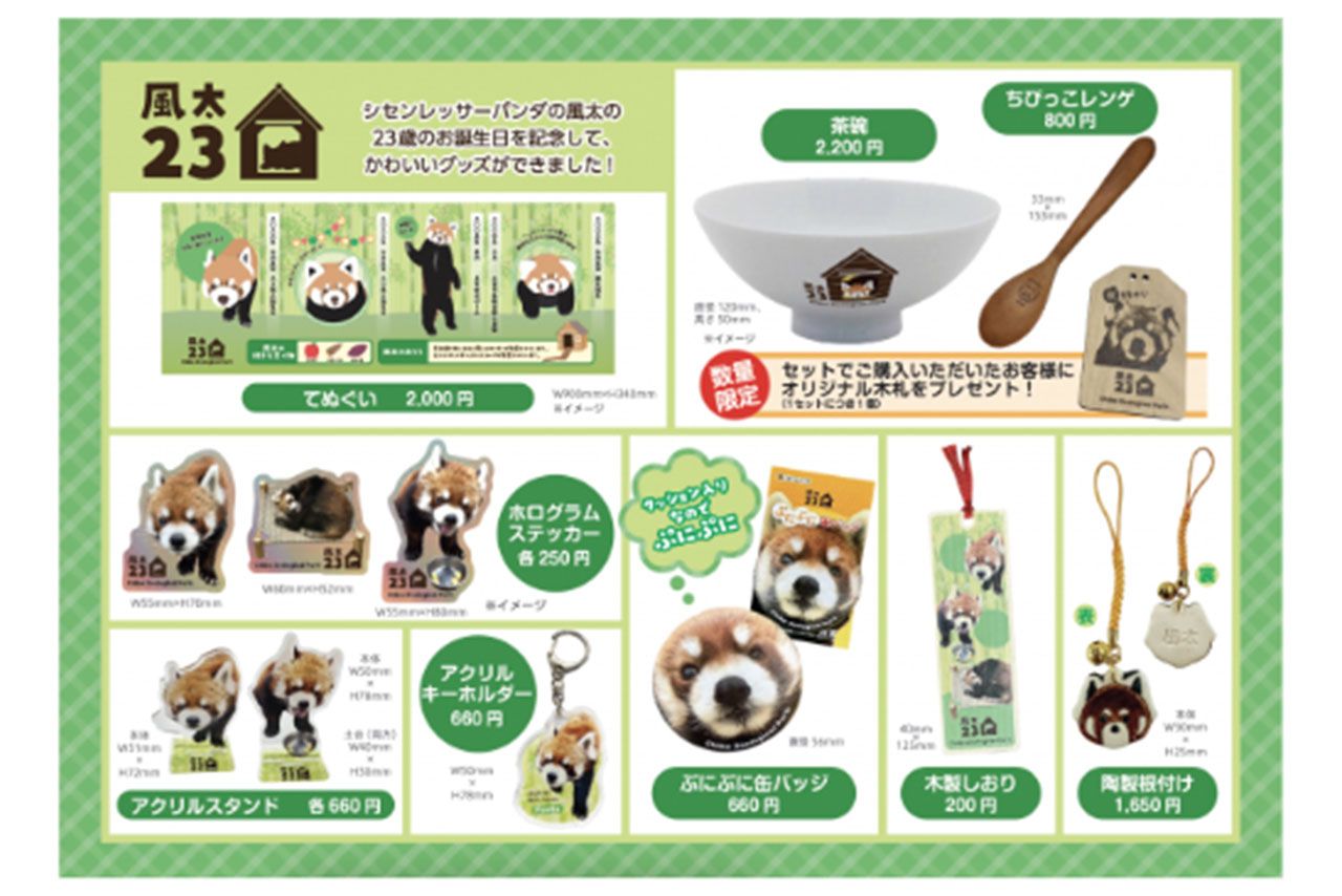風太くん23歳お誕生日記念、限定グッズ（市川市動物公園公式HPより）
