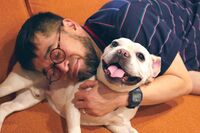 槇原敬之の逮捕で『世界に一つだけの花』救いたいSMAPファンが“早速動いた”