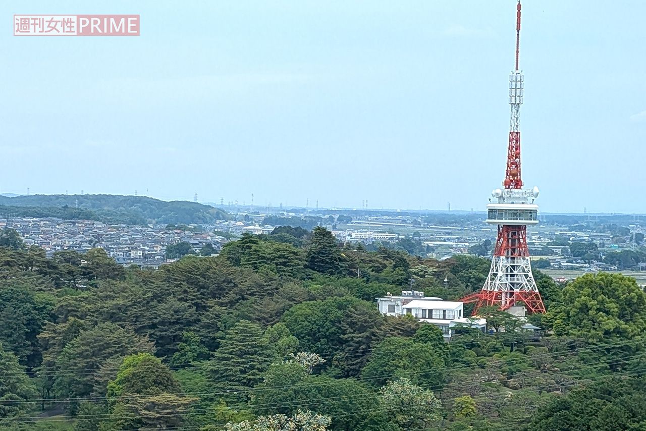 熊が目撃された宇都宮市にある八幡山公園　撮影／編集部