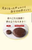 『大きくなったチョコパイ』のおすすめポイント(公式HPより)