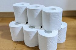 《原油・ガソリン高騰》トイレットペーパーに品薄不安、大手メーカー『王子ネピア』は「在庫がなくなることはない」