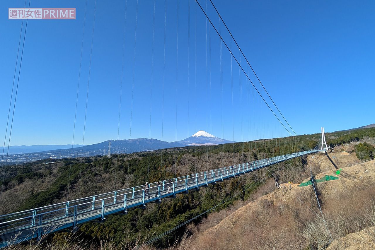 高さは70.6メートル、長さは400メートルある三島スカイウォーク　撮影／編集部