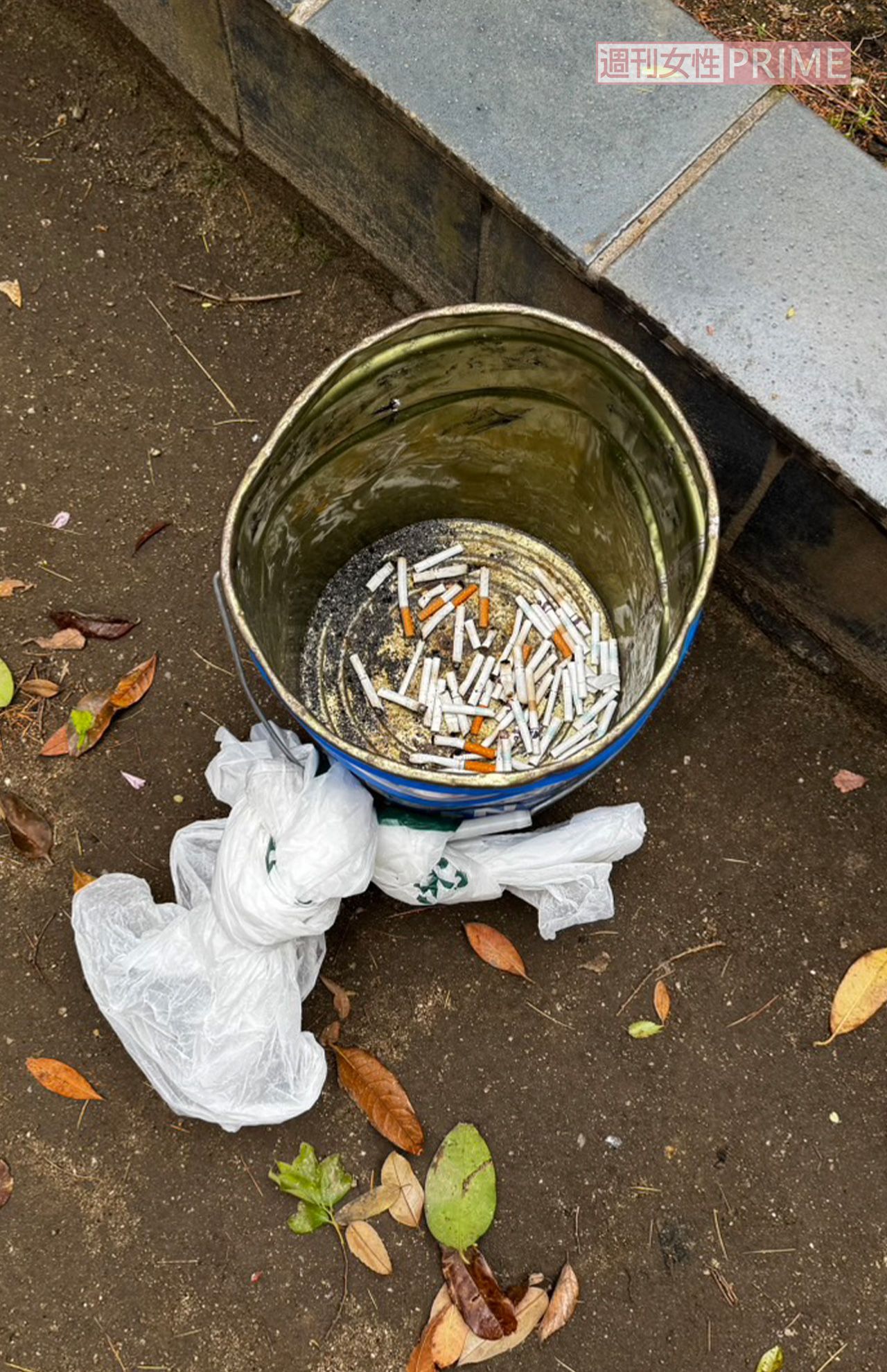 『年下童貞くんに翻弄されてます』撮影現場の灰皿には大量の吸い殻が（目撃者提供）