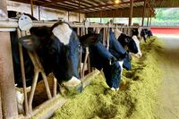 広島の女子大生2人組が北海道の牛舎に不法侵入もヘラヘラ態度、被害者は「伝染病が発生してしまうと、近隣…