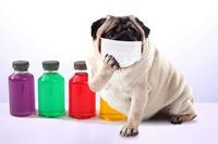 コロナ第3波の襲来！第1波で店頭から消えたものとは？一応、確認しておきたい「備え」