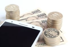 写真はイメージです