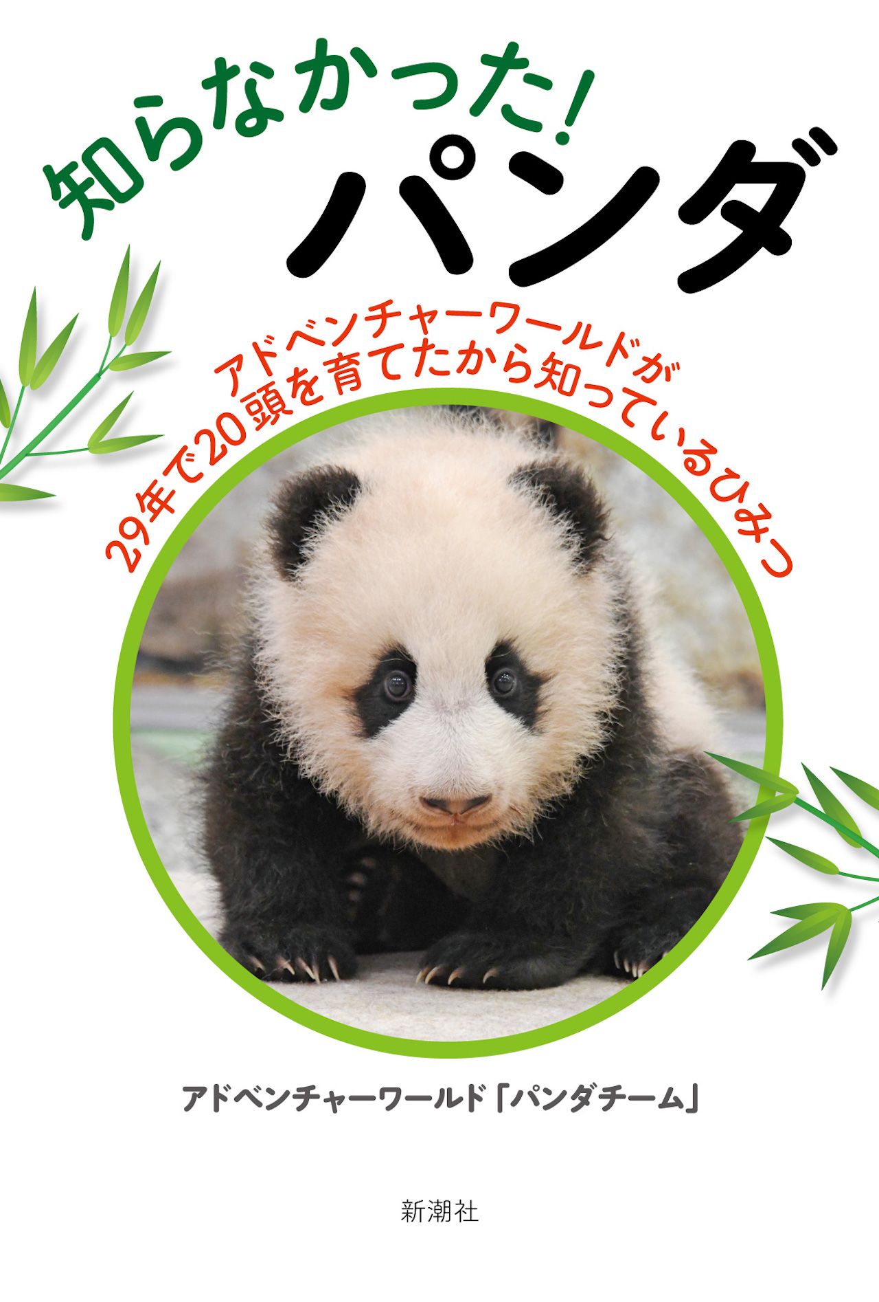 『知らなかった！パンダ−アドベンチャーワールドが29年で20頭育てたから知っているひみつ−』アドベンチャーワールド「パンダチーム」／著（新潮社　税込1595円）※画像をクリックするとAmazonの商品ページにジャンプします。