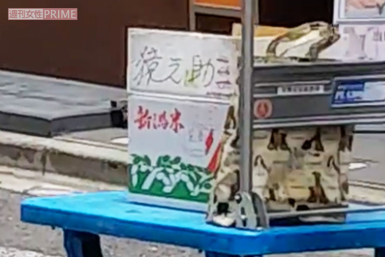 「猿之助」と書かれた段ボール箱。重量があるのか、移動には台車が用いられていた