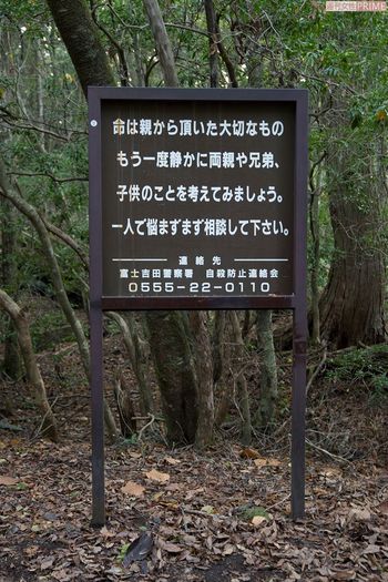 樹海の入り口には、自殺するために入る人を思いとどまらせるための看板が