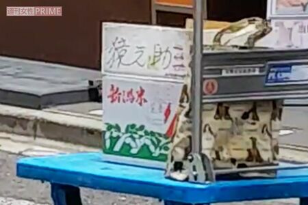 「猿之助」と書かれた段ボール箱。重量があるのか、移動には台車が用いられていた