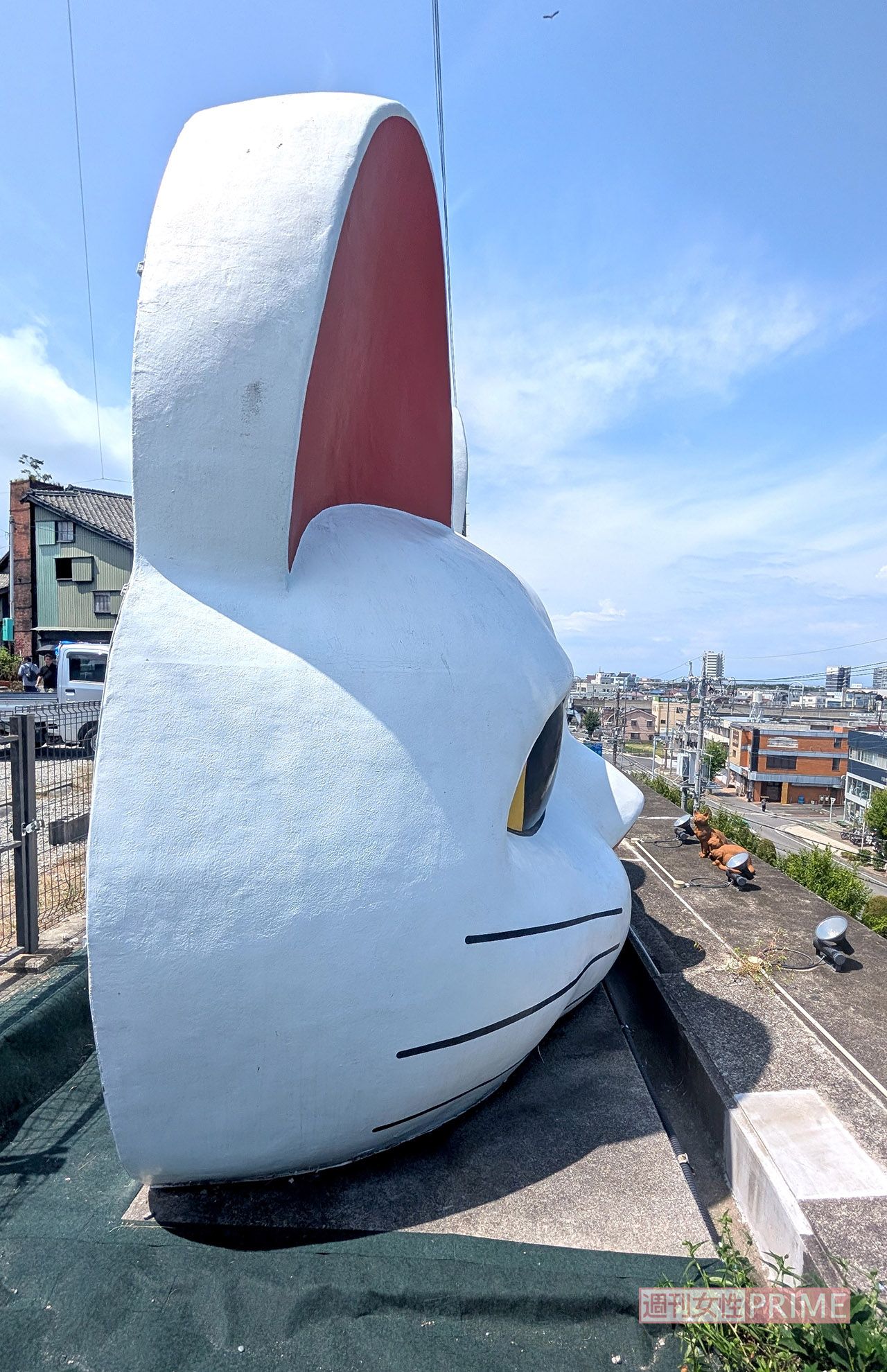 横から見た見守り猫「とこにゃん」　撮影／編集部