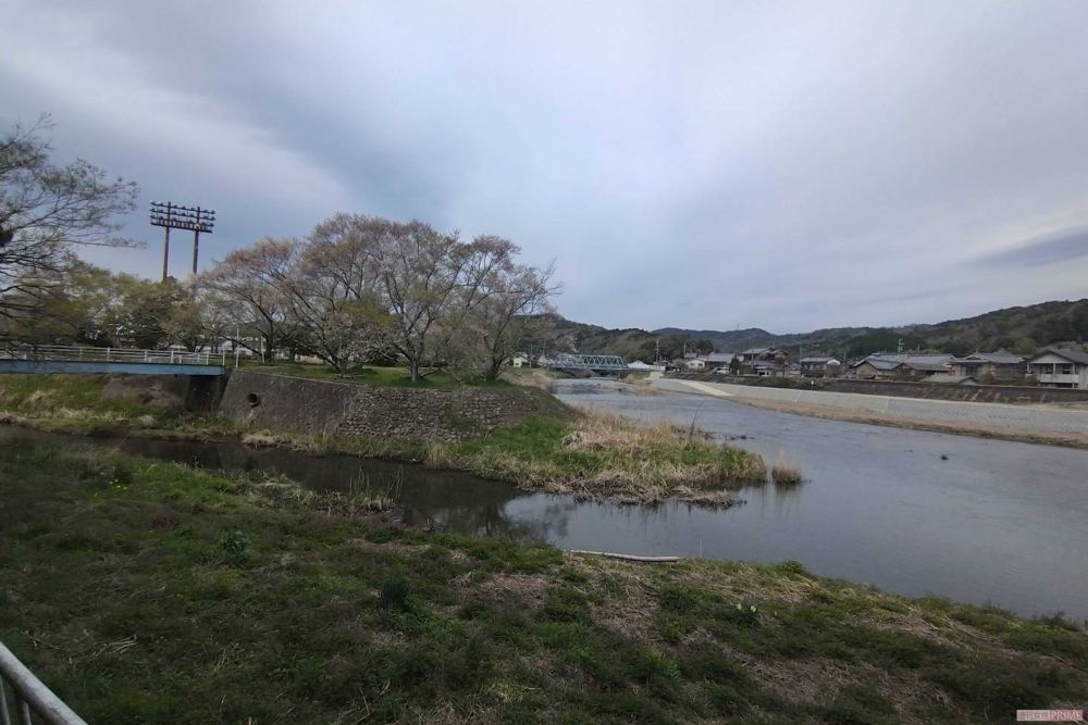 園部小学校近くには大きな川が流れる